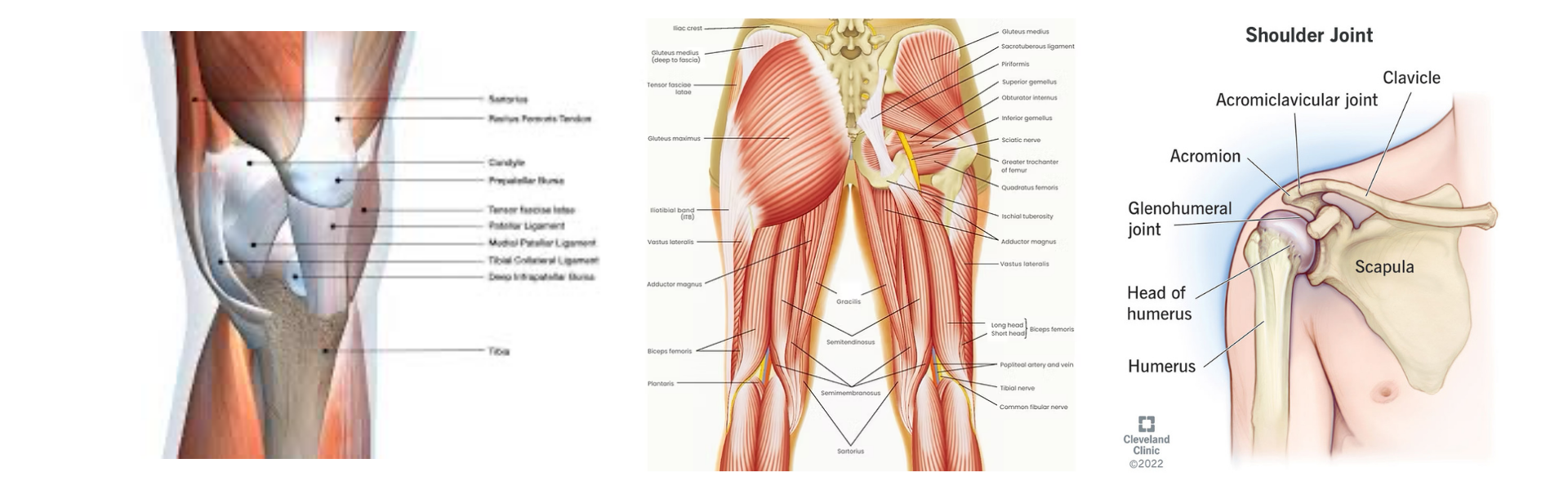 What ageing does not automatically cause