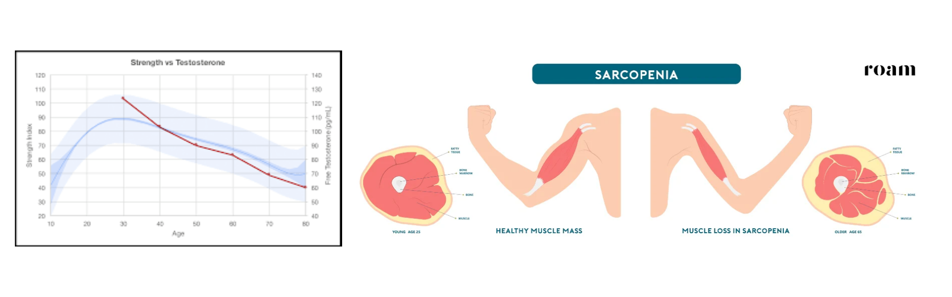 Fitness confidence and capacity in your 40s and 50s